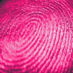 AI Study Claims Human Fingerprints Aren't Actually Unique