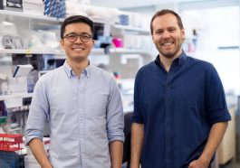 Waypoint Bio Closes $20M to Advance Solid Tumor Therapies